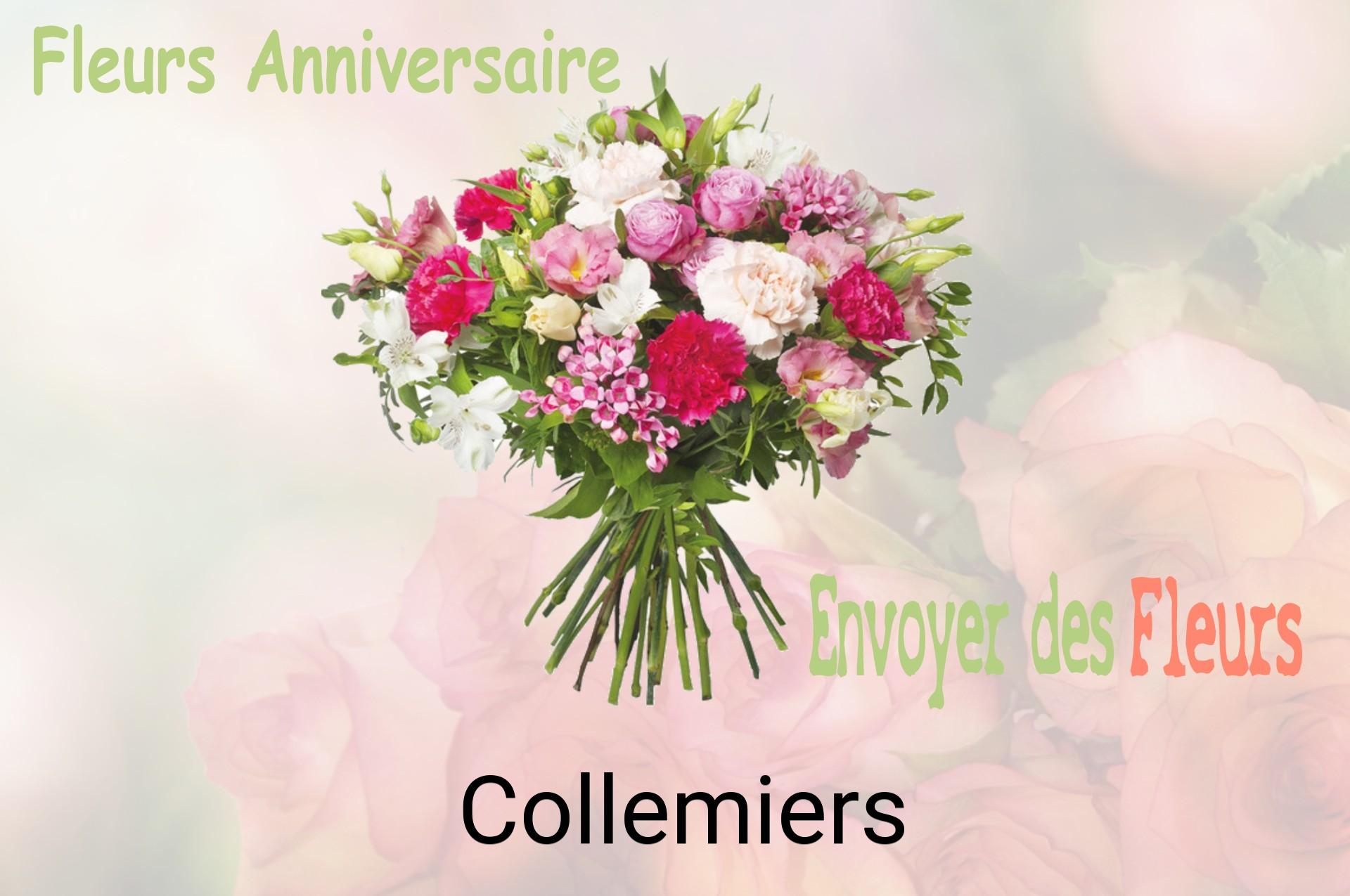 Bouquet de fleurs d’anniversaire livré à Collemiers