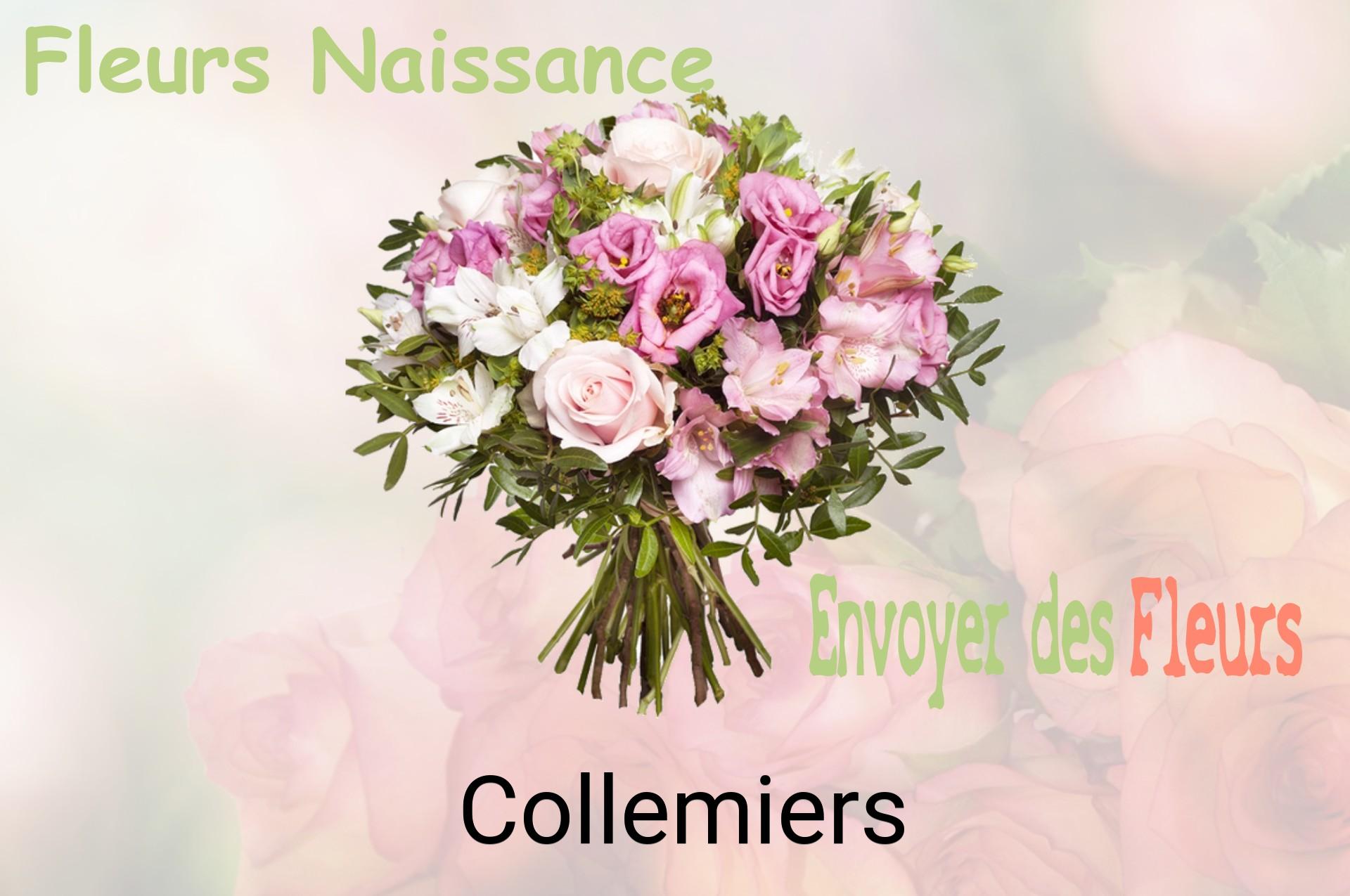 Bouquet de fleurs de naissance livré à Collemiers