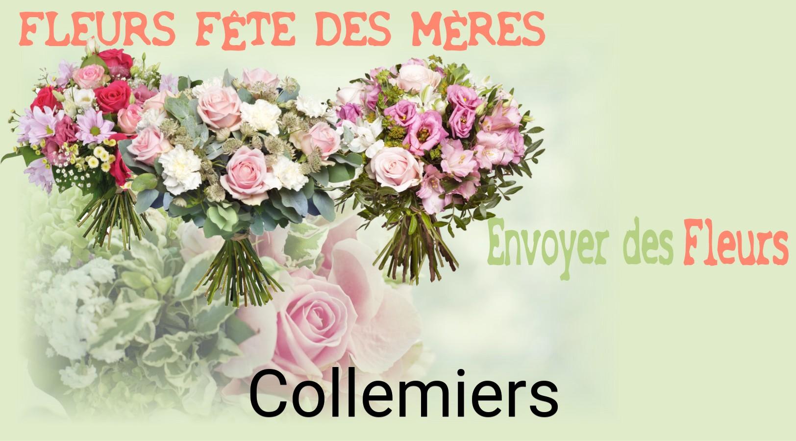 Bouquet de Fête des Mères livré à Collemiers